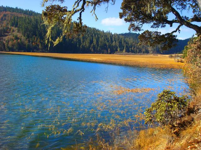 达那是哪里的城市，达拉是哪个国家的城市（距香格里拉约22公里）