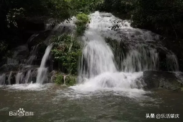肇庆市各区面积排名，肇庆哪个县最大，哪个县最小