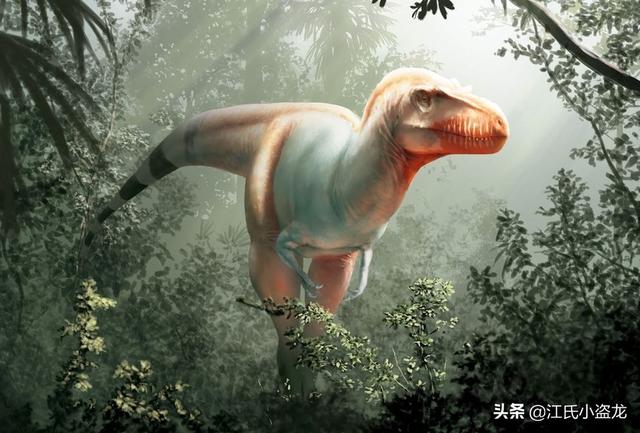 re网名的含义，Re微信昵称（2020古生物学家到底命名了多少种恐龙）