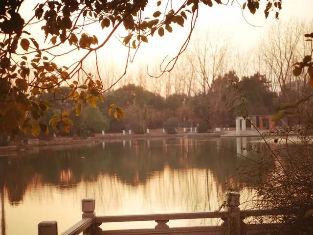 刘禹锡十首巅峰之作秋词，刘禹锡最经典的10首诗文