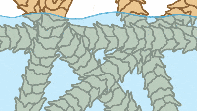 羊绒羊毛衫用什么洗最好，羊绒衫羊毛衫用什么洗好（秋冬毛衣/羊毛/羊绒衫起球、扎人怎么办）