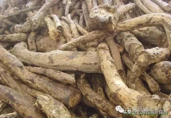 大别山在哪里，云南大别山在哪里（大别山名字的由来）