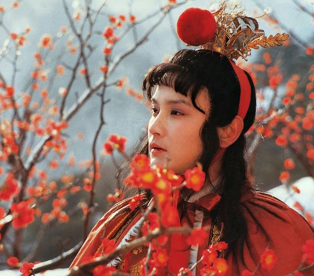 红楼梦贾宝玉结局，红楼梦书中贾宝玉的结局（因被丈母娘嫌弃投湖自尽）