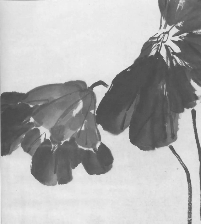 水墨画初学者入门教程，水墨画入门教程（图文教程：画水墨荷花）
