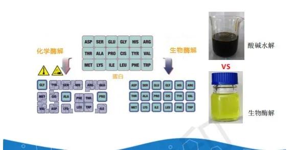 强酸强碱有哪些，常见的含有强酸强碱的液体有哪些（氨基酸，不为人知的力量）