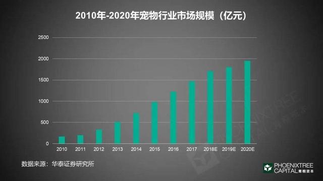 一猫穷二猫富三猫四猫五猫，猫生崽一贵二贱三笨四抬轿（宠物产业的江湖：养五只猫）