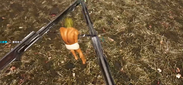 方舟嘎查有什么作用，方舟怎么知道嘎查是产什么的（《方舟生存进化》嘎查塔建筑技巧）