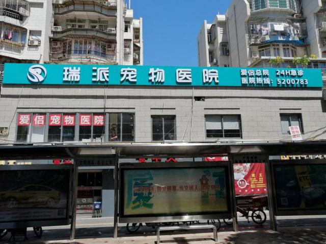 哈尔滨宠物医院，十大哈尔滨宠物医院排名（瑞派宠物医院告诉你最牛医院的正确打开方式）