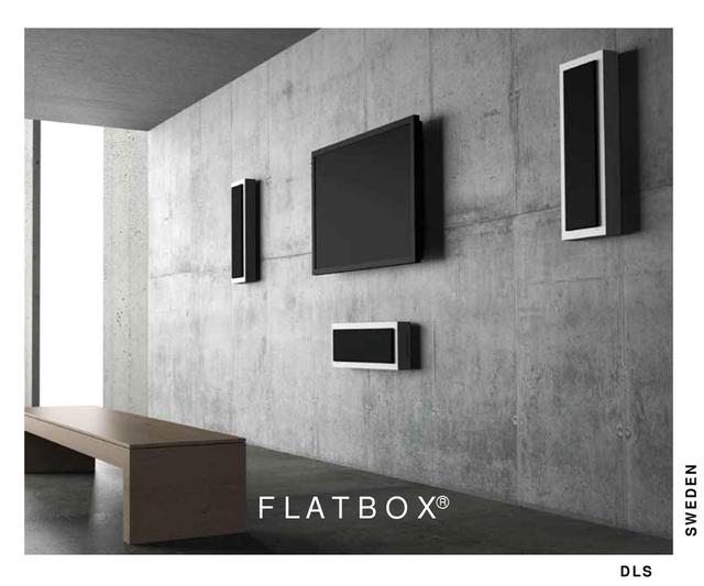 dls是什么意思，Flatmini