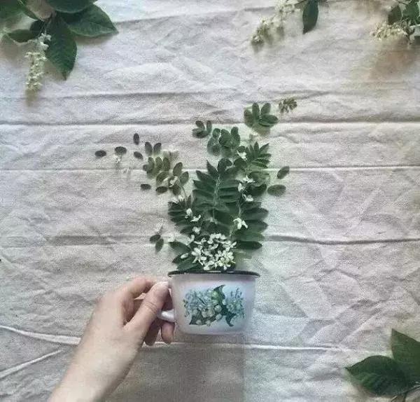  睡懒觉的幽默说说，形容睡懒觉的幽默句子（有点拽幽默，最适合做个性签名） 