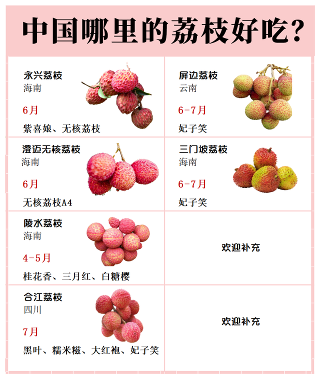 荔枝有什么品种，荔枝品种排名（15种常见的荔枝品种）