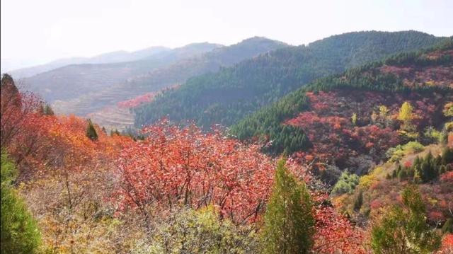 厦门青龙山溶洞，厦门秋天的白云洞