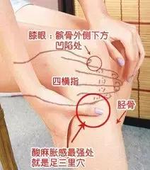 殷门穴的位置，常灸10个穴位，强身健体