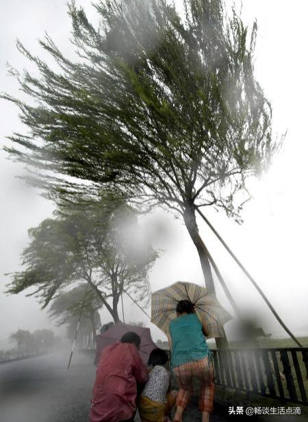 东南风和西南风哪个潮湿,东南风和西南风哪个潮湿一些(刮东西南北风各