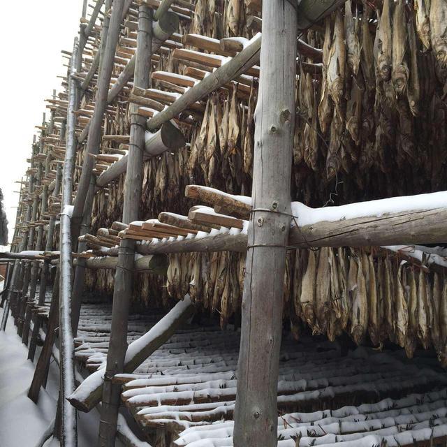 明太鱼的营养价值及功效（你才知道明太鱼有多好吃）