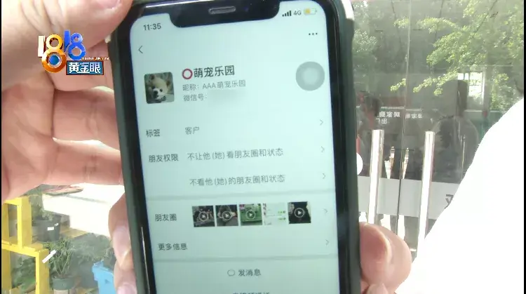 淘宝网电子狗(电子狗玩具价格及图片)