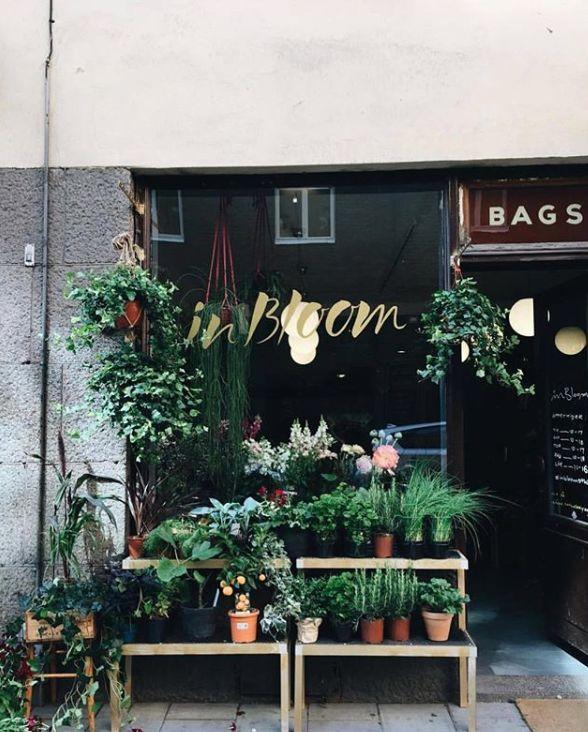 鲜花店怎么开(工艺鲜花店怎么开)