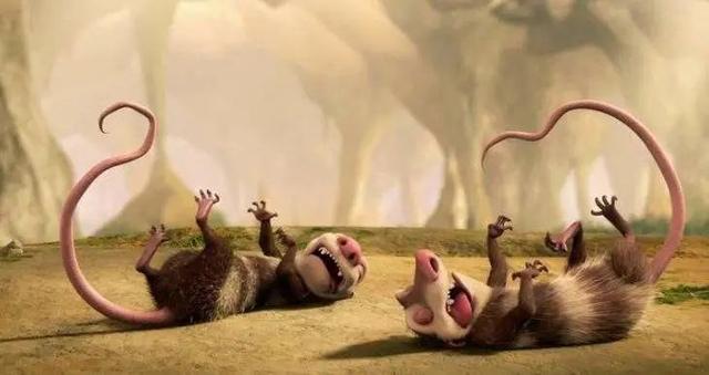 兔子假死多久恢复，兔子死后处理方式（扒一扒动物界的行骗手段）