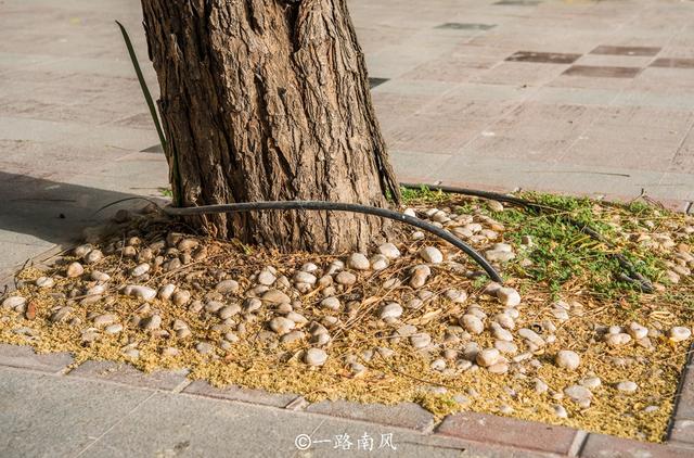 迪拜是在哪个国家，迪拜国家简介（中东第一土豪国迪拜）