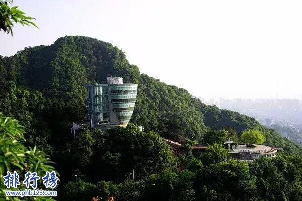 重庆有哪些地方，重庆必去的十个地方（建筑公路复杂多变也被网友戏称为“迷宫一样的城市”）