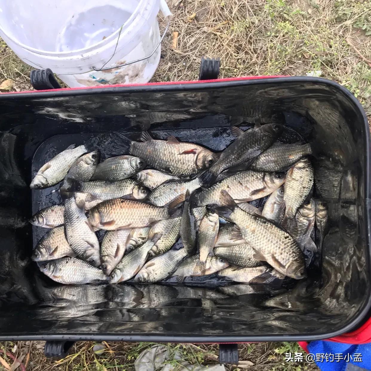 冬季自制鲫鱼窝料秘方，纯手工调配诱鱼更强，钓鱼老手亲测有效绝密配方分享