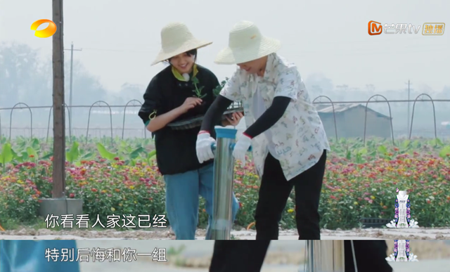 向往的生活开局推到张子枫，张子枫是谁推荐到向往的生活（《向往的生活4》张子枫被疑社恐）