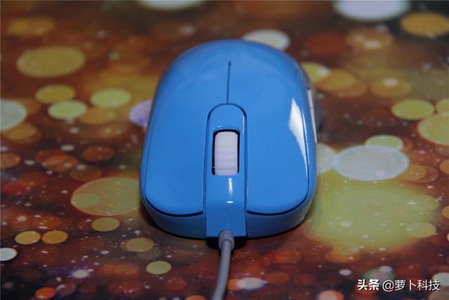 divina跳蚤防治，吡虫啉灭跳蚤（职业FPS选手标配）