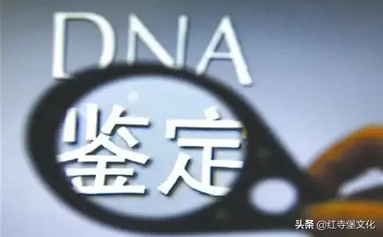 个人亲子鉴定可以上户口吗，亲子鉴定就可以上户口吗（亲子鉴定落户口办理流程）