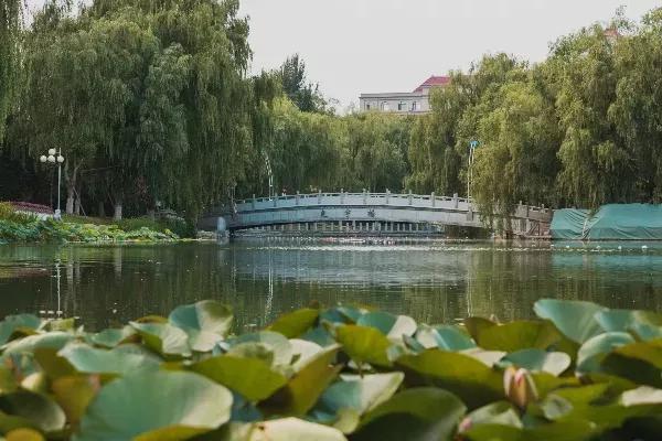 渤海大学是211吗，渤海大学是什么大学（辽宁省普通高等院校）