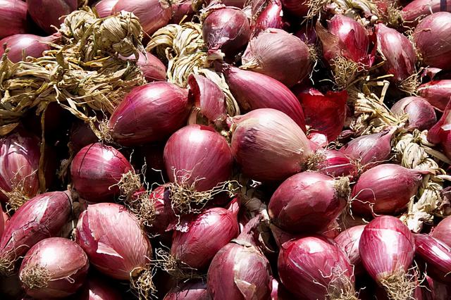 葱烧海参三种家常做法分享，葱烧海参的做法最正宗的做法（国家葱油地理：葱油）