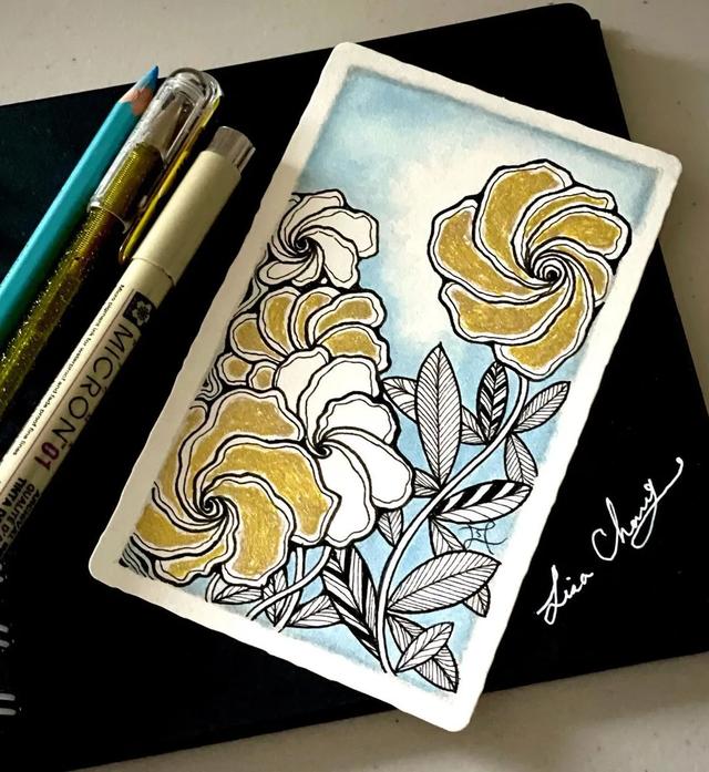 用圆规画出的精美图案，怎样用圆规画好看的图案（画出简单有创意的装饰禅绕画）