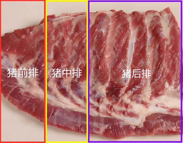 梅花骨头在猪身上什么位置，梅花骨猪什么位置图片（要分清脊骨、颈骨、前排、后排）