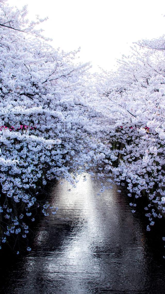 风景图片手机壁纸，超美风景手机壁纸高清（唯美手机锁屏风景壁纸）