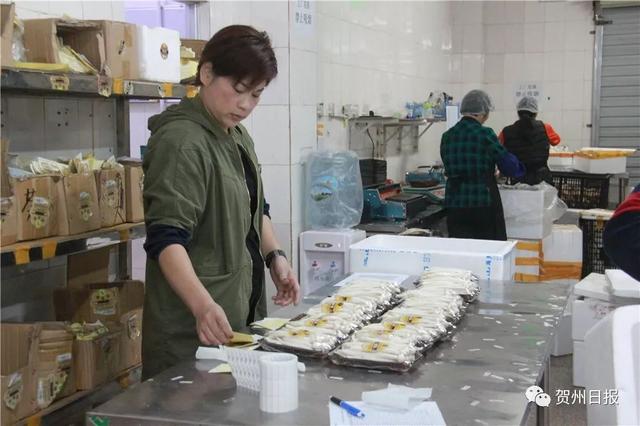 豆妃是什么，豆妃是什么样子（贺州豆杯在香港一斤能卖80元港币）