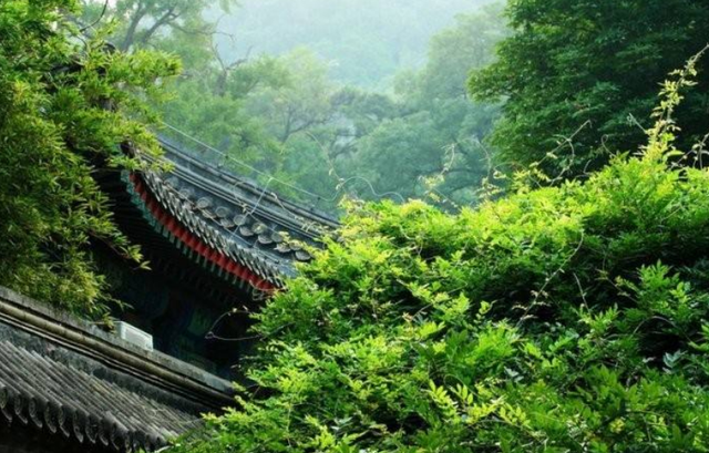 王国维最好的四句诗，专家评：最高格的无我之境