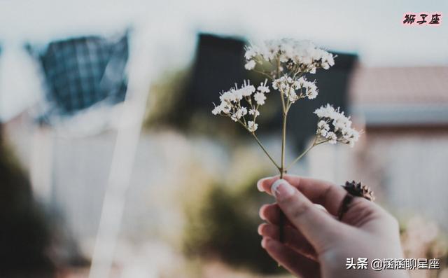 巨蟹女为什么没人追，巨蟹座女生为什么没人追（却很少有人追的四大星座）