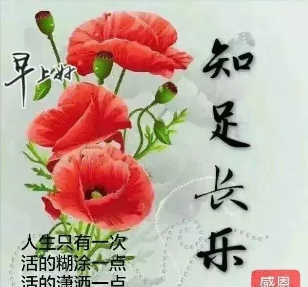 快乐好心情的早安心语，快乐好心情的早安心语怎么写（诚的祝愿你万事顺意）