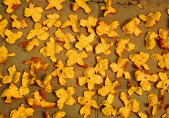 新鲜桔子皮的功效，新鲜橘子皮的功效与作用及禁忌（吃剩的桔子皮别乱扔）