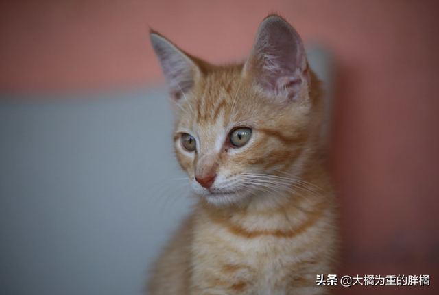 得了艾滋一辈子完了吗，感染艾滋病的一生就完了（多注意这些小细节）