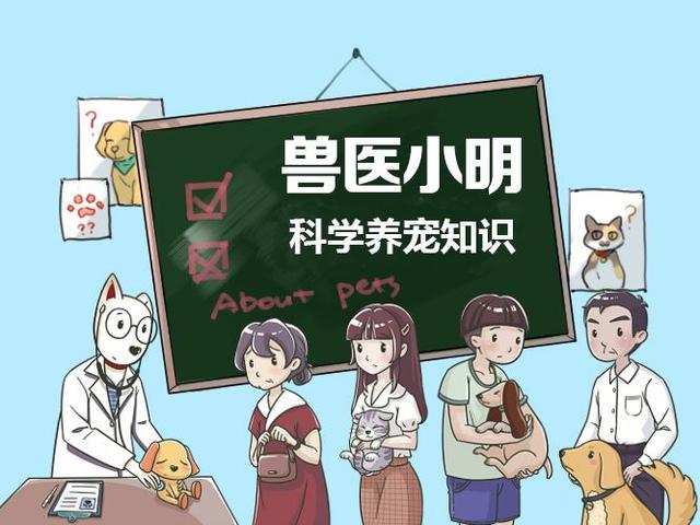 狗狗得螨虫有什么方法治，狗狗的螨虫怎么治（狗狗身上有螨虫该怎么办）