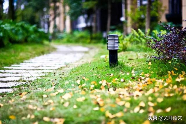 显摆是什么意思，显摆是什么意思的近义词（语文阅读考点4--赏析词语）