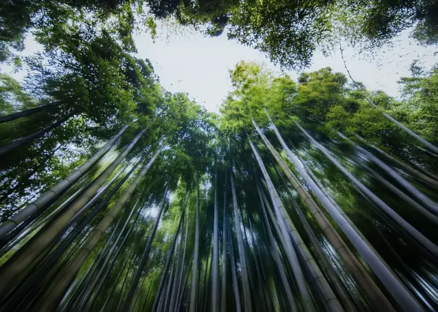 湖州市的湖叫什么，湖州市的湖叫什么 新闻（中间还有一个最美的湖州）