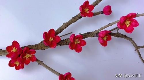 红梅花的寓意是什么，红梅花代表什么象征意义（而我用枯树枝和纸做了一枝梅花）