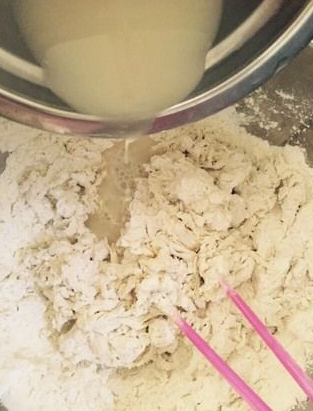 酵母粉是小苏打吗，小苏打能替代酵母粉吗（用小苏打还是用食用碱）