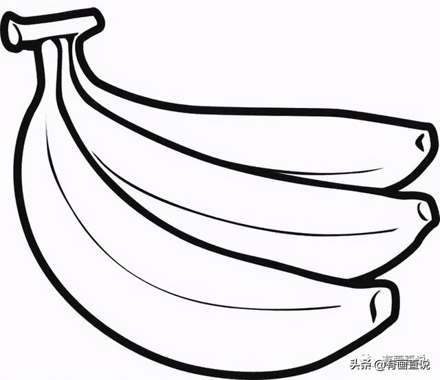 香蕉树简笔画步骤，香蕉树怎么画 儿童简笔画（儿童画简笔画临摹素材52张）