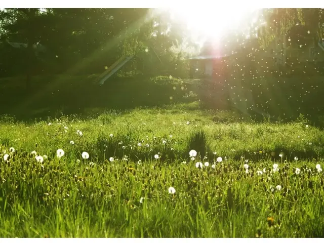 纯洁的反义词，轻盈光滑高傲纯洁的反义词（部编版一年级下册《语文园地二》+和大人一起读《阳光》知识点）