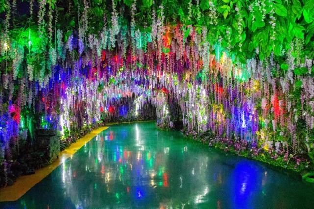 昆明这个地方海洋馆都有哪几个啊，昆明海洋馆在什么地方（科普保护1.4亿年的“水中国宝”）