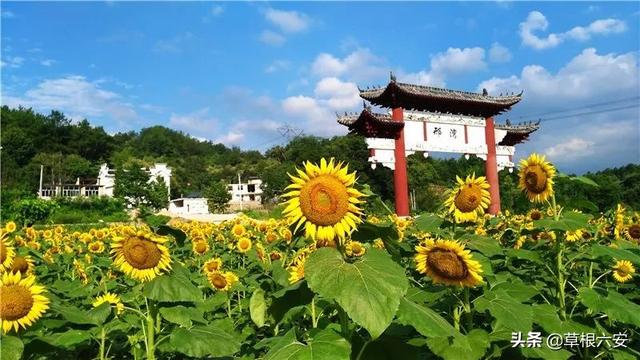 金寨灵山寺在哪，谢谢你，金寨