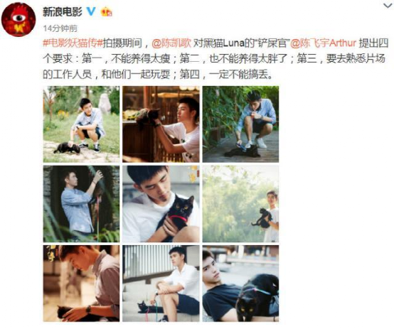 妖猫传深度解读杨贵妃，发现杨贵妃才是看懂影片的关键