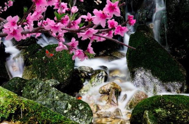 天然去雕饰清水出芙蓉，天然去雕饰全诗是李白的哪首诗（天然去雕饰”指的是哪一种诗）